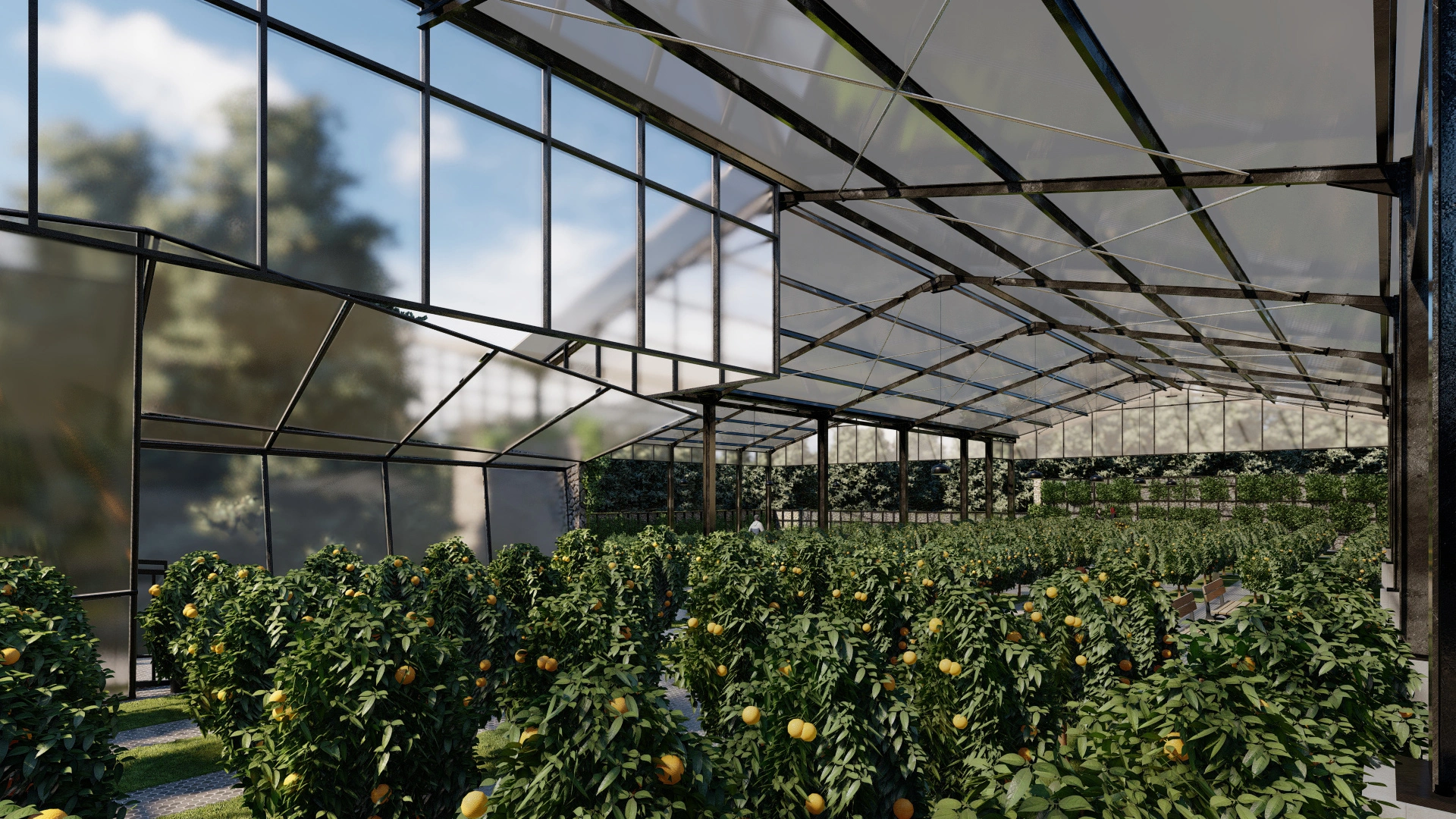 Green House Al - Ittifaq